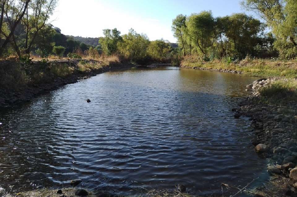 17 empresas o individuos tienen más agua concesionada que una población mayor a 700 mil habitantes’