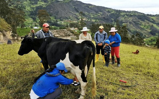 Productores de leche exigen a SEGALMEX- Liconsa, pago puntual 