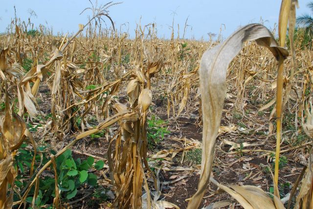 Prometen acabar con la pobreza en el campo mexicano, con un nuevo concepto: "acompañamiento técnico"