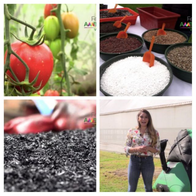 Exitosa Feria Ambiental en línea 2020 