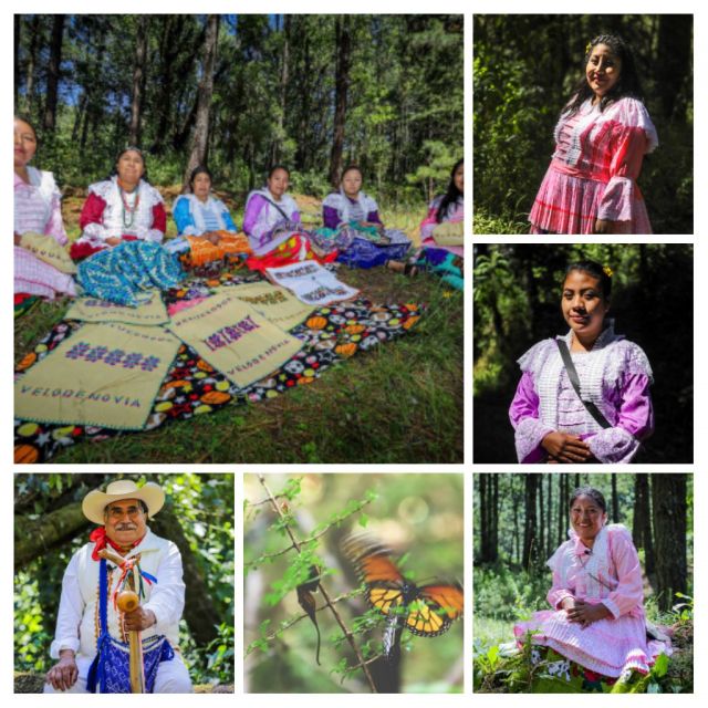 ’las mariposas son las almas que murieron y vienen otra vez de regreso a su origen"