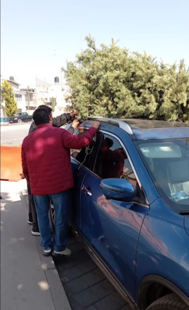 Instalan centro de acopio de árboles  navideños en la alameda de Texcoco 