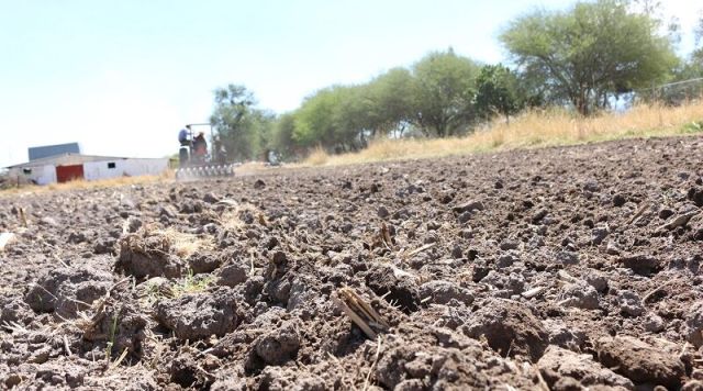 ASPIRANTES DESAIRAN CARRERAS UNIVERSITARIAS EN MATERIA AMBIENTAL 