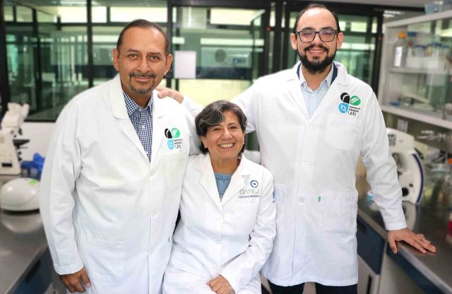 ENCUENTRAN TRATAMIENTO NANOMÉTRICO CONTRA CÁNCER CEREBRAL 