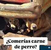 Hizo mella en el GEM lo sucedido en Mexicaltzingo