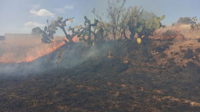 LABORAN PARA CONTROLAR INCENDIO DE PASTIZAL EN SAN DIEGUITO Y SAN MIGUEL TLAIXPAN