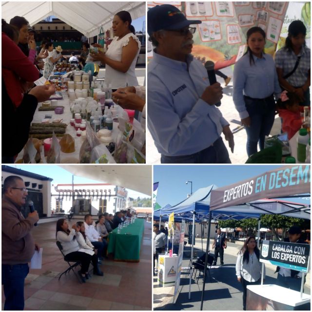 Realizan primer "Expo Agropecuaria en Ozumba"