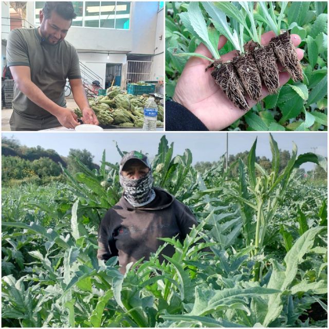 DESDE LA DIRECCIÓN DEL CAMPO DE TEXCOCO SE IMPULSAN PROYECTOS DE APOYO A PRODUCTORES