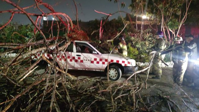 Caen ramas de árbol sobre taxi en comunidad de Texcoco 