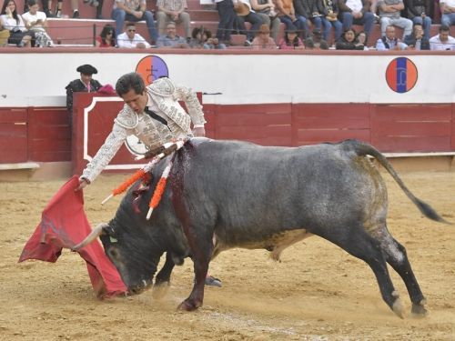 Las corridas de toros: un análisis político y económico