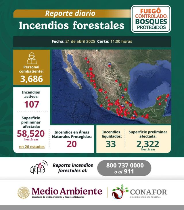 Incendios forestales en México: una crisis en aumento