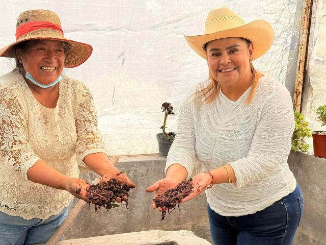Erika Icela Castillo rumbo a la Presidencia 
del Poder Judicial del Estado de México