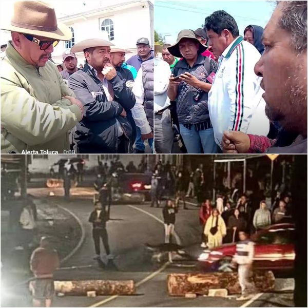 Enfrentamiento en Ocuilan por tala clandestina